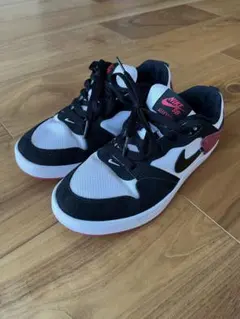 NIKE SB ALLEYOOP SB アリウープ スニーカー 22.5cm