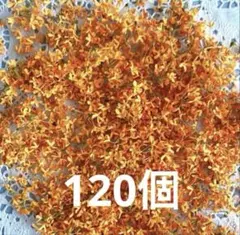 ドライフラワー 素材　キンモクセイ No.2727