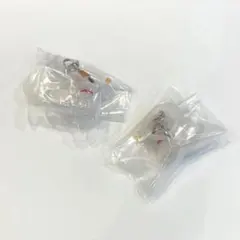 ディズニーめじるしアクセサリーwinter（ゼロ×2）