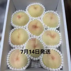 岡山県産　桃　白鳳　訳あり品② 小玉のサムネイル