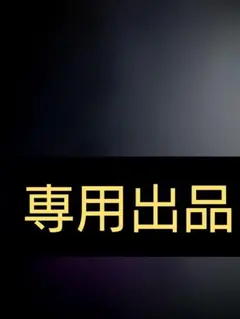なおっち様専用出品