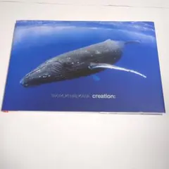 creation