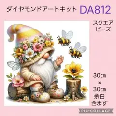 DA812★ダイヤモンドアートキット★スクエアビーズ