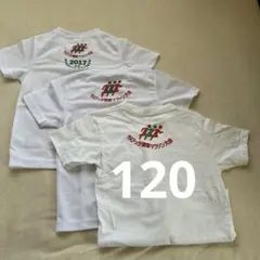 MIZUNO ちびっこ健康マラソン大会 Tシャツ 3枚セット　120