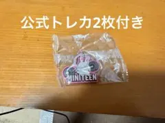 【美品】MINITEEN ライトスティックカバー スンチョル チェ・チェリー 2026年最新】チェチェリーの人気アイテム - メルカリ