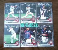 2023 WBC ローンデポパーク限定販売 プログラム パンフレット 侍