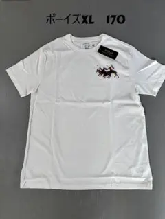 最新作新品ラルフローレン　トリプルポニー　ビックポニーTシャツボーイズXL170