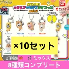 SKZOO つまんでつなげてますこっと vol.2 コンプリートセット