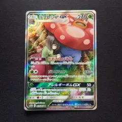 ドラもど様 リクエスト 2点 まとめ商品