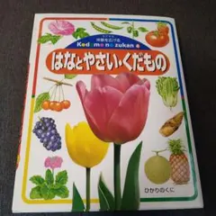 Item thumbnail for item c3572dc5-ecfd-4ed0-aee2-dcb523b9fe6c