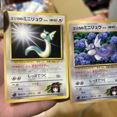 エリカのミニリュウ ポケモンジム　タマムシシティジム エリカ