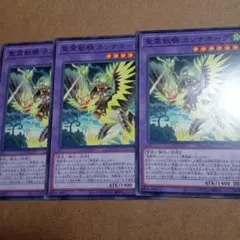 遊戯王 聖霊獣騎カンナホーク レア 3枚 聖霊獣騎字 - メルカリ