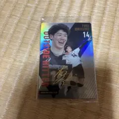 バレーボールウエハース　石川選手