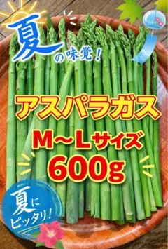 山形県産、無農薬栽培アスパラガス M〜Lサイズ たっぷり600gのサムネイル