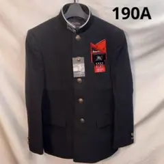 Item thumbnail for item d76a8757-e8f1-43a0-8f58-82ebf612d3b2