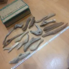 Item thumbnail for item 4b9ad13d-d871-4364-9027-a7b9ad36af1b