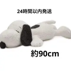 スヌーピー♫ジェラピケクッション gelato pique（ジェラートピケ）の「【PEANUTS】クッション