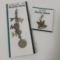 【匿名配送】嵐 チャリティーチャームBeautiful World