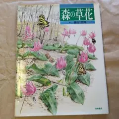 森の草花 長谷川哲雄 岩崎書店