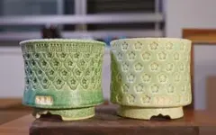 陶器植木鉢 塊根植物 ハンドメイド 2点セット Mサイズ アガベ B-259