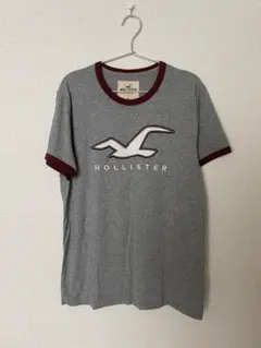 値下げ中【美品】HOLLISTER ロゴ入り メンズ Tシャツ 半袖 M グレー
