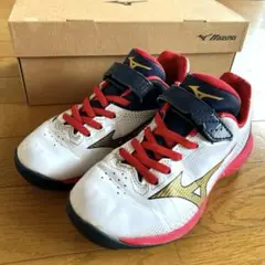 MIZUNO トレーニングシューズ アップシューズ　　20cm 野球