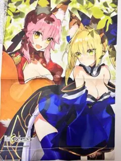 【非売品】Fate/EXTELLA タペストリー2枚セット エクステラ 非売品】Fate/EXTELLA タペストリー2枚セット エクステラ - メルカリ