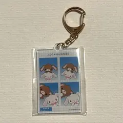 シュガーバニーズ　証明写真風キーホルダー　サンリオ