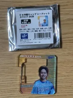 Item thumbnail for item 1e1adb77-1d33-4eac-8897-d372afe0d129