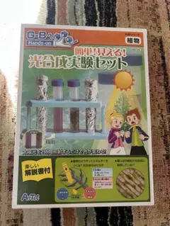 Item thumbnail for item d02eabab-a9f5-4efa-9a3f-01c6b1fae2b2