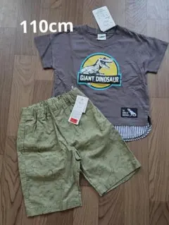 恐竜プリント Tシャツとハーフパンツセット