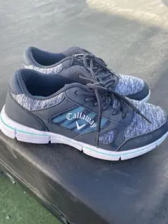 Item thumbnail for item 689789b5-bebd-4fcc-a87d-551fe20f9852