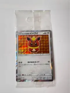 ポケモンカード ポンチョを着たイーブイ 139/SM-P