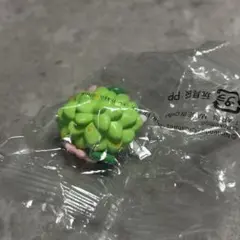 ポケモンゲットコレクション　炎天の幻　シェイミ