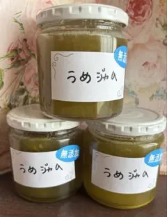 しのちゃん様専用ページです。梅1、ブルーベリー2個セット。