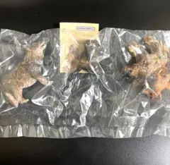はしもとみお　ブレーメンの音楽隊　犬の音楽隊