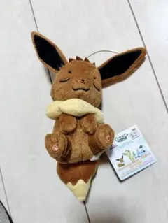 포켓몬스터 이브이 봉제 인형 휴식 시간