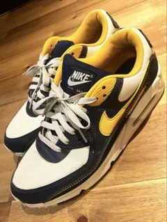 【希少サイズ】NIKE ナイキ　エアマックス90 ミシガン　29cm