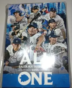 埼玉西武ライオンズ 2025年記念グッズ 選全員カード94枚　未開封