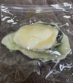 dodomi 牡蠣 スクイーズのサムネイル