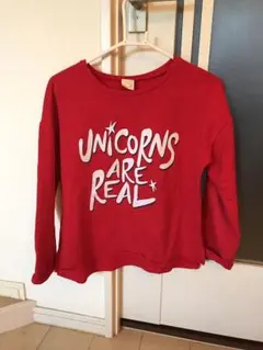 ZARA 薄手トレーナー