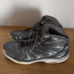 MIZUNO ウェーブダイバース　23.5cm
