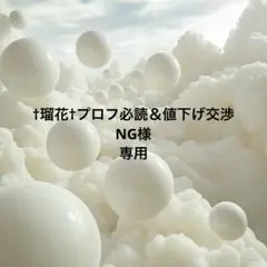 †瑠花†プロフ必読＆値下げ交渉NG様 2点 まとめ　No.125 No.21