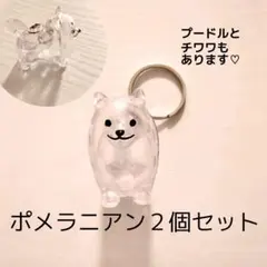 チワワ様 リクエスト 2点 まとめ商品 チワワ2個、ポメ2個