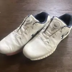 Item thumbnail for item 0e195b93-2b6e-48d0-923a-c563c3cdcddc