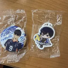 ハイキュー　影山飛雄　缶バッジ、チャームセット