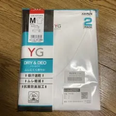 VネックTシャツ Mサイズ 2PACK