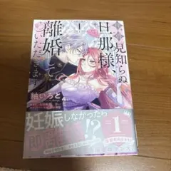 拝啓見知らぬ旦那様、離婚していただきます = To My Unfamiliar…