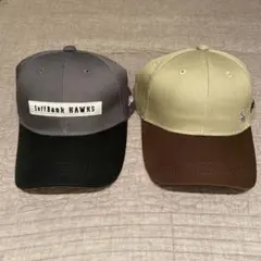 Item thumbnail for item e1b8c51a-0f03-40fe-8d29-17c6650b6cd9