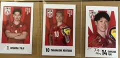日本バレーボール選手チェキカード